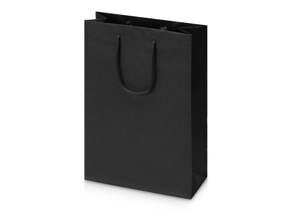 Shopping Bag 3