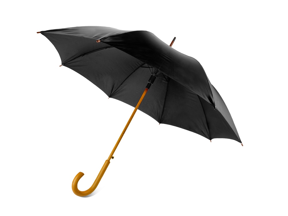 Umbrella 10