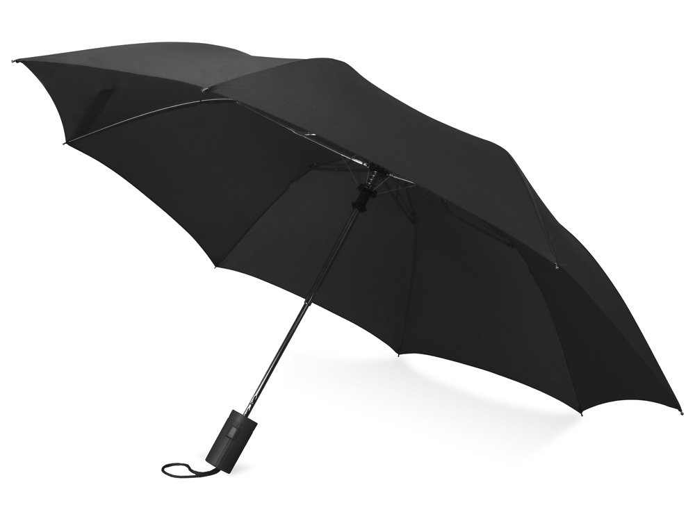 Umbrella #7